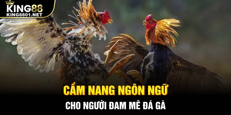 Cầm nang ngôn ngữ cho người đam mê đá gà